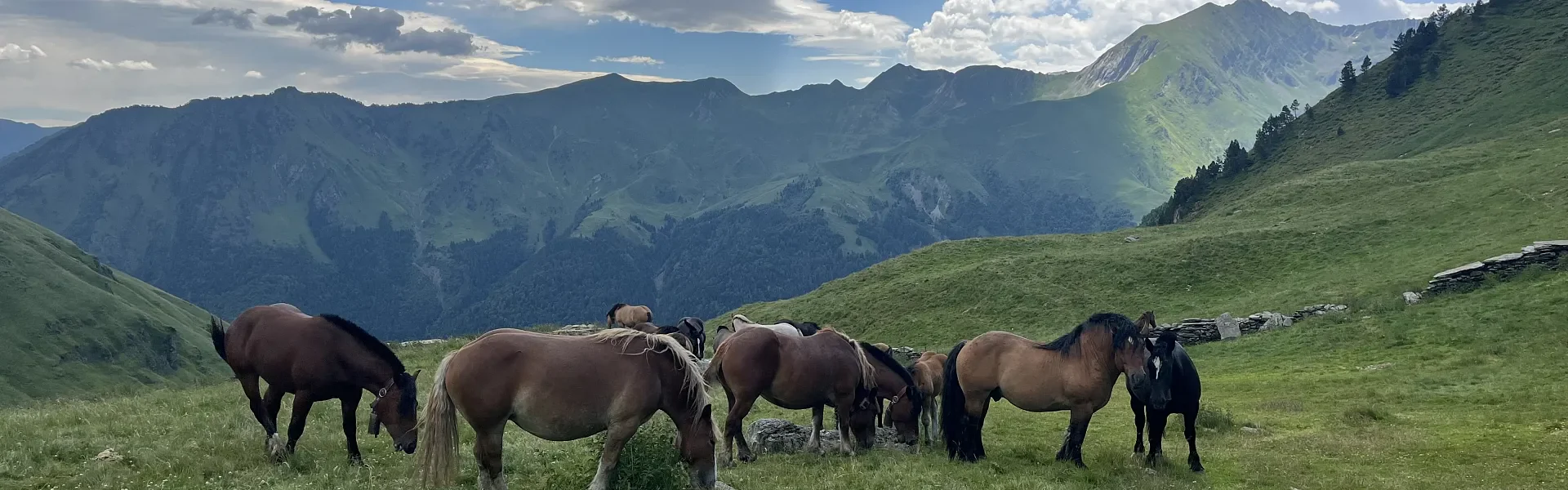 ¡Explora todo lo que nos rodea!