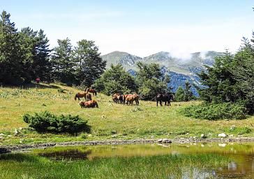 Essential hiking trails